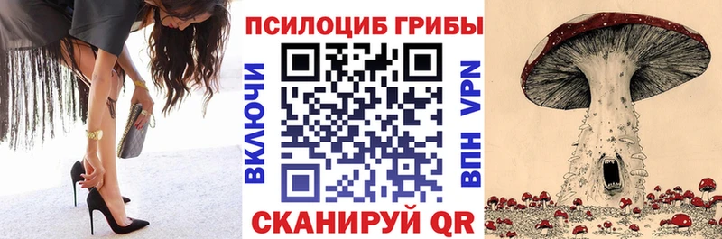 купить   Дубна  Псилоцибиновые грибы Magic Shrooms 